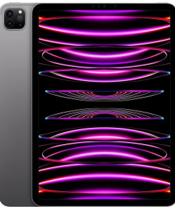 iPad Pro 11-inch (4th Generation)
