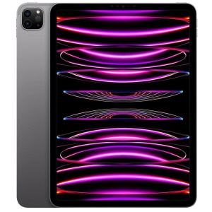 iPad Pro 11-inch (4th Generation)