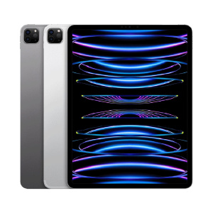 iPad Pro 12.9 inch (6th Generation)