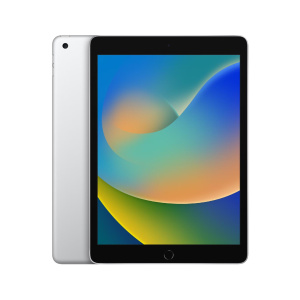 iPad 9 (10.2)